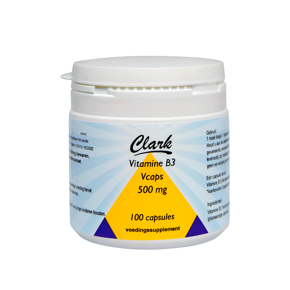 Afbeelding van Vitamin B3 500 mg - 100 capsules