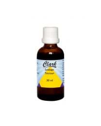 Afbeelding van Solidago/Goldrutentinktur 30 ml